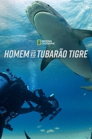 Assistir Homem vs Tubarão Tigre online