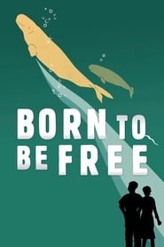 Assistir Born to Be Free online