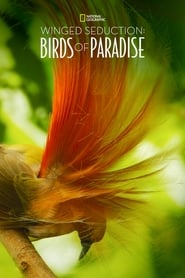 Assistir Winged Seduction: Birds of Paradise online